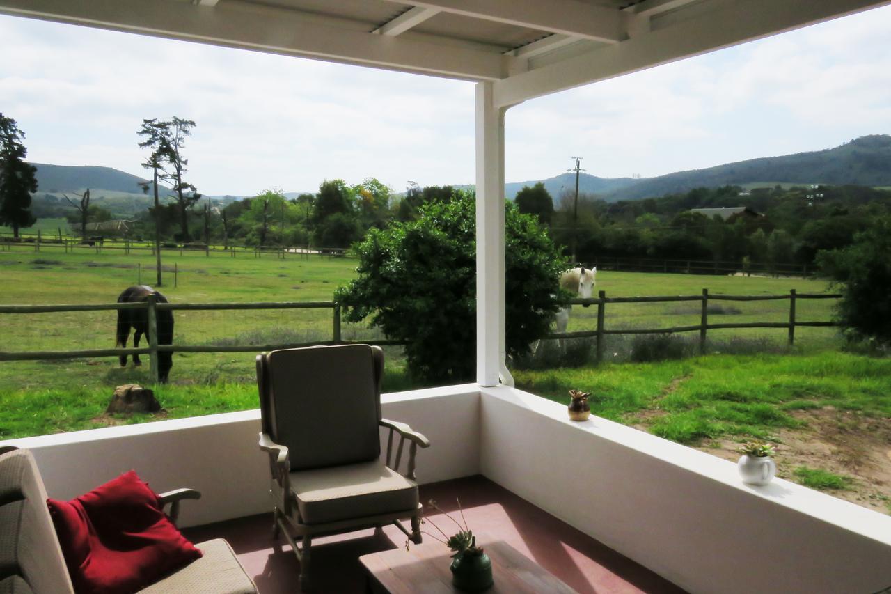 Out Of Plett Villa Plettenberg Bay Exterior photo